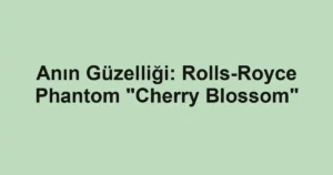Anın Güzelliği: Rolls-Royce Phantom "Cherry Blossom"