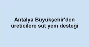 Antalya Büyükşehir'den üreticilere süt yem desteği