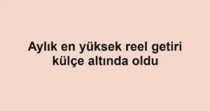 Aylık en yüksek reel getiri külçe altında oldu