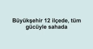 Büyükşehir 12 ilçede, tüm gücüyle sahada