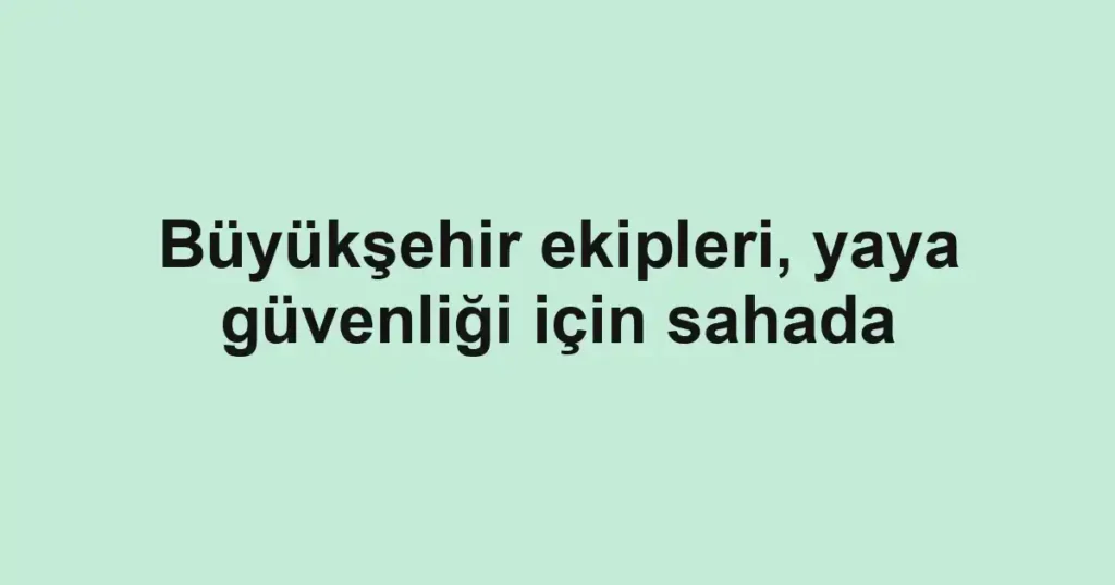 Büyükşehir ekipleri, yaya güvenliği için sahada