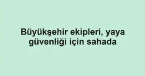 Büyükşehir ekipleri, yaya güvenliği için sahada