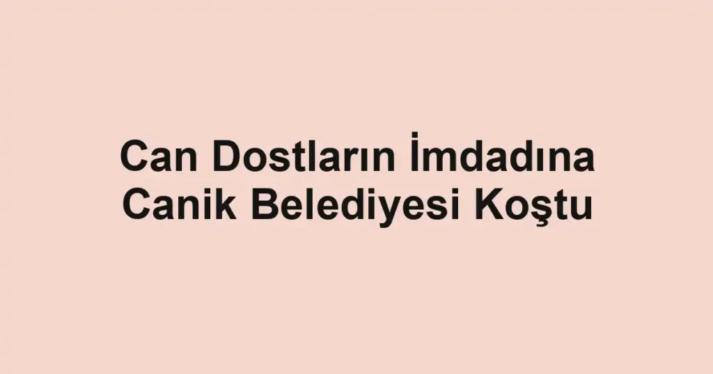 Can Dostların İmdadına Canik Belediyesi Koştu