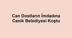 Can Dostların İmdadına Canik Belediyesi Koştu