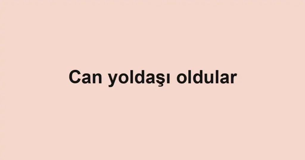 Can yoldaşı oldular