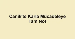 Canik'te Karla Mücadeleye Tam Not