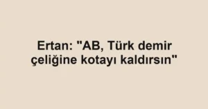 Ertan: "AB, Türk demir çeliğine kotayı kaldırsın"