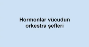 Hormonlar vücudun orkestra şefleri