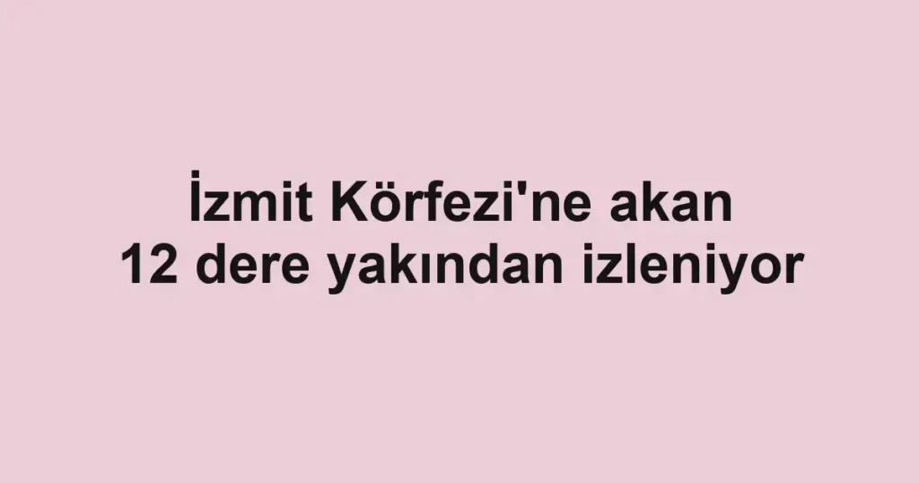 İzmit Körfezi'ne akan 12 dere yakından izleniyor