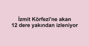 İzmit Körfezi'ne akan 12 dere yakından izleniyor