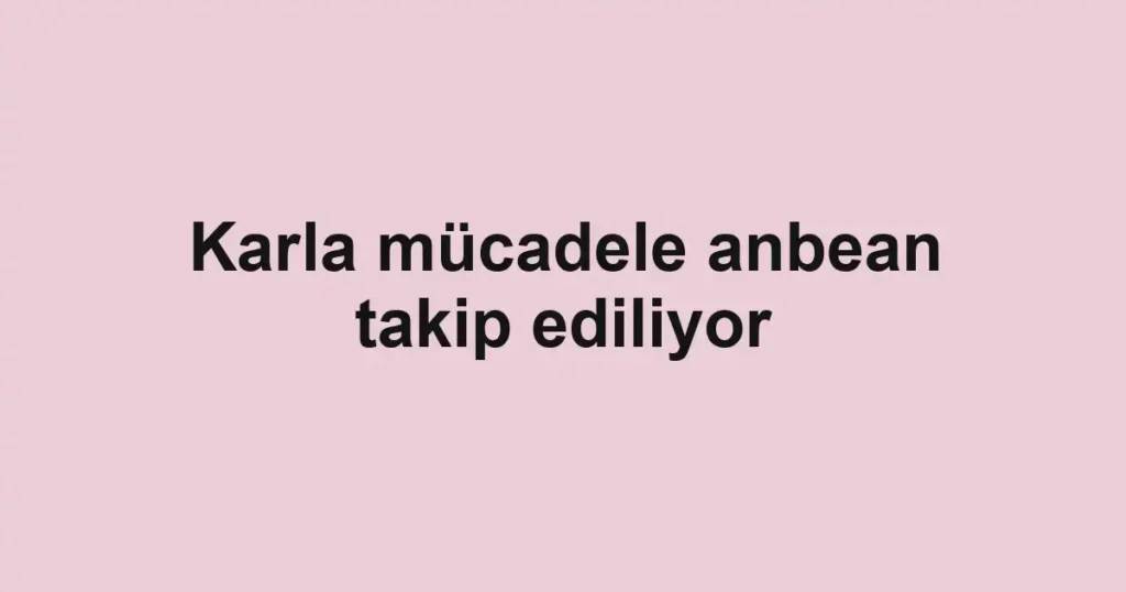 Karla mücadele anbean takip ediliyor 1 Karla mücadele anbean takip ediliyor