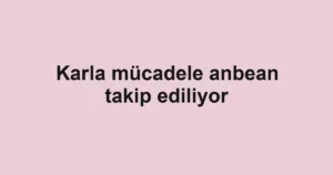 Karla mücadele anbean takip ediliyor