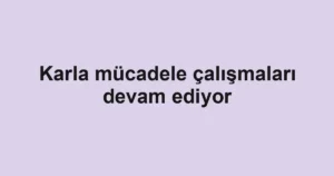 Karla mücadele çalışmaları devam ediyor