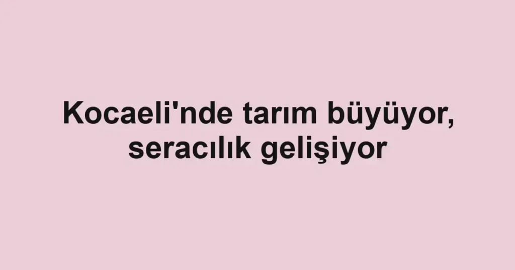 Kocaeli'nde tarım büyüyor, seracılık gelişiyor