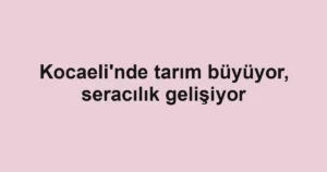 Kocaeli'nde tarım büyüyor, seracılık gelişiyor