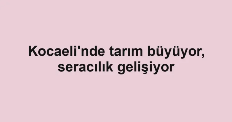 Kocaeli'nde tarım büyüyor, seracılık gelişiyor