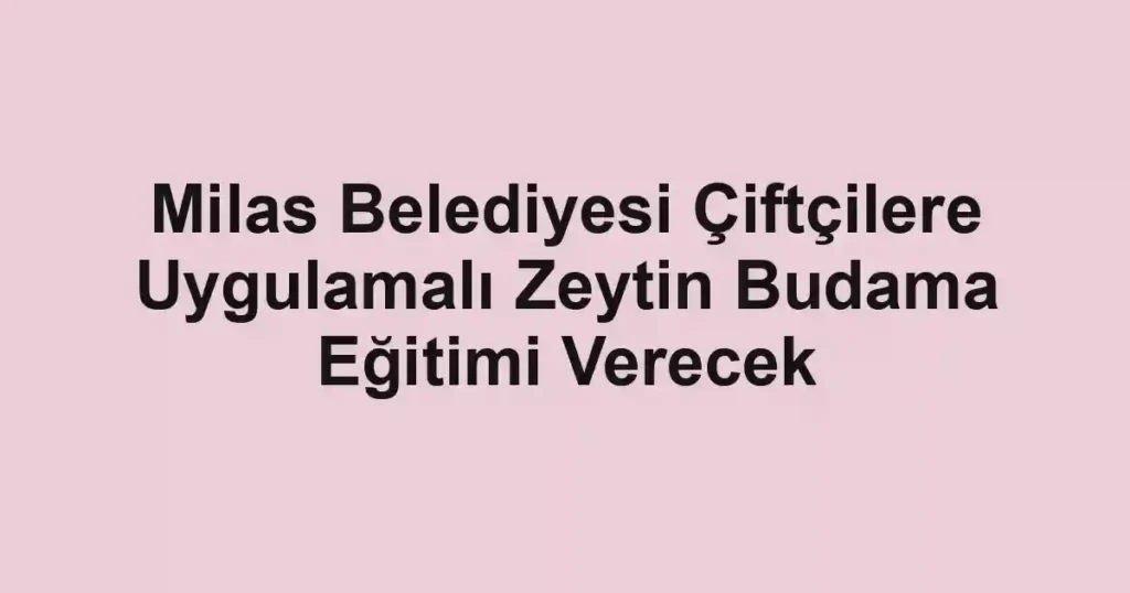 Milas Belediyesi Çiftçilere Uygulamalı Zeytin Budama Eğitimi Verecek