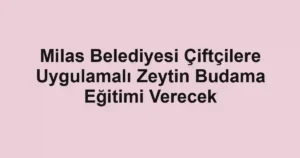 Milas Belediyesi Çiftçilere Uygulamalı Zeytin Budama Eğitimi Verecek