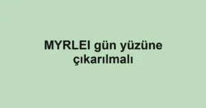 MYRLEI gün yüzüne çıkarılmalı