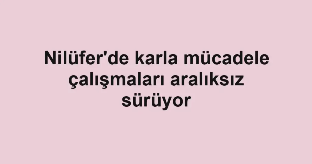 Nilüfer'de karla mücadele çalışmaları aralıksız sürüyor 1 Nilüfer'de karla mücadele çalışmaları aralıksız sürüyor