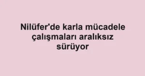 Nilüfer'de karla mücadele çalışmaları aralıksız sürüyor