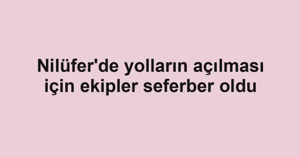 Nilüfer'de yolların açılması için ekipler seferber oldu