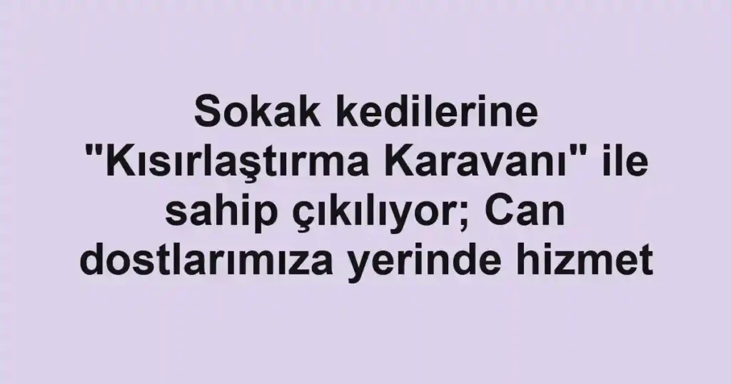 Sokak kedilerine "Kısırlaştırma Karavanı" ile sahip çıkılıyor; Can dostlarımıza yerinde hizmet