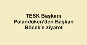 TESK Başkanı Palandöken'den Başkan Böcek'e ziyaret 3 TESK Başkanı Palandöken'den Başkan Böcek'e ziyaret