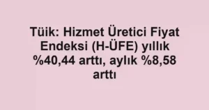 Tüik: Hizmet Üretici Fiyat Endeksi (H-ÜFE) yıllık ,44 arttı, aylık %8,58 arttı