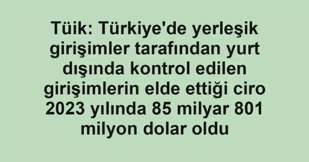 Tüik: Türkiye'de yerleşik girişimler tarafından yurt dışında kontrol edilen girişimlerin elde ettiği ciro 2023 yılında 85 milyar 801 milyon dolar oldu