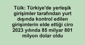 Tüik: Türkiye'de yerleşik girişimler tarafından yurt dışında kontrol edilen girişimlerin elde ettiği ciro 2023 yılında 85 milyar 801 milyon dolar oldu