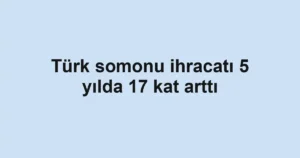 Türk somonu ihracatı 5 yılda 17 kat arttı 3 Türk somonu ihracatı 5 yılda 17 kat arttı