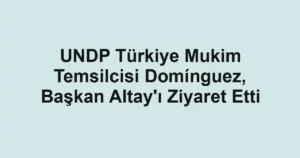 UNDP Türkiye Mukim Temsilcisi Domínguez, Başkan Altay'ı Ziyaret Etti