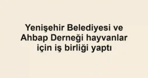 Yenişehir Belediyesi ve Ahbap Derneği hayvanlar için iş birliği yaptı
