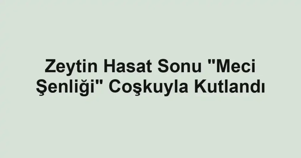 Zeytin Hasat Sonu "Meci Şenliği" Coşkuyla Kutlandı